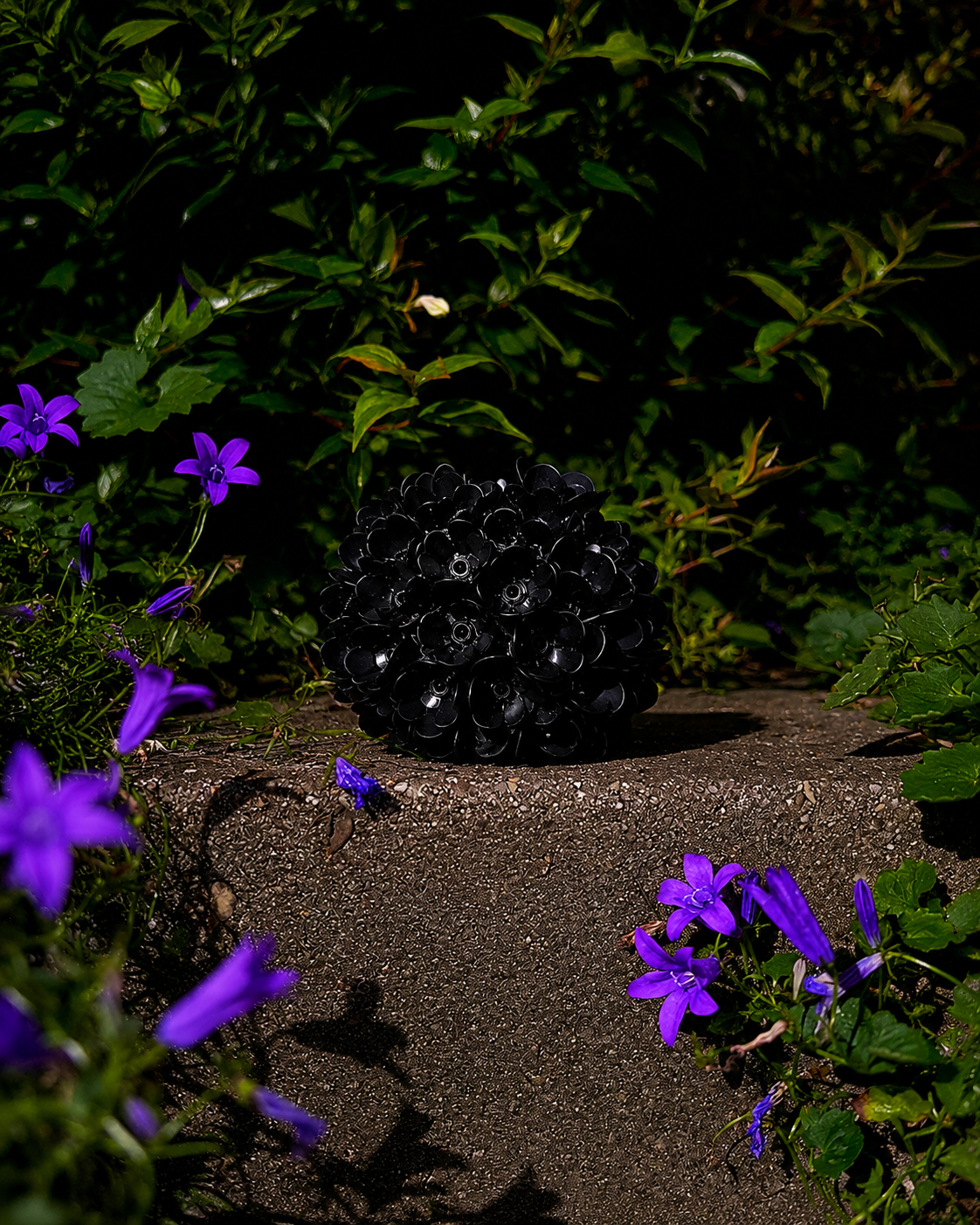 Black and black